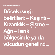 Bocek Isirigi Belirtileri Kasinti Kizariklik Sisme Agri Isirik Bolgesinde Ya Da Vucudun Genelinde Yuksek Ates Dokuntule Saglik Ipuclari Saglik Kas