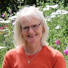 Crochet Collage Garden: 100 patterns for crochet flowers, plants and  petals: Norrington, Chris: 9781446309391: Amazon.com: Books