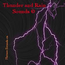Nature Sounds Mp3 Downloads Nature Sounds Ca Best Quality Nature Sounds Mp3s For Sleep Relaxation Meditation Ambience