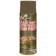 Recreation Camouflage Paint
