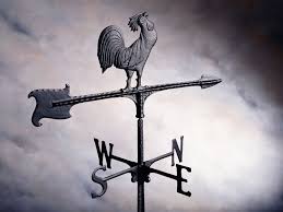 Another name for vane (sense 1). Measuring Weather With Tools National Geographic Society