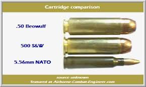 50 Beowulf Ballistics