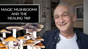They all have different levels. How Magic Mushrooms Are Used For Healing The New Yorker Youtube