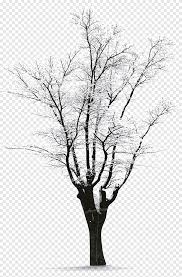 Winter Snow Trees Winter Snow Png Pngegg Frozen ground is covered with snowdrifts. winter snow trees winter snow png