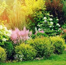 Free shipping on qualified orders. 15 Best Small Shrubs For Gardens Evergreen And Flowering Shrubs