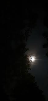  Moonlight Foto Langit Malam Fotografi Langit Fotografi Bayangan