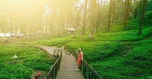 Tempat wisata di purwokerto ini menawarkan konsep tempat wisata alam pegunungan di cipendok curug cipendok, dusun 4 karangnangka, depok, karangtengah, cilongok, kabupaten banyumas. Cari Suasana Baru Wisata Di Banyumas Ini 18 Tempat Pilihannya Serayunews
