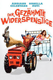 Taming of the scoundrel, the. Film Tipo Il Bisbetico Domato I Migliori Suggerimenti