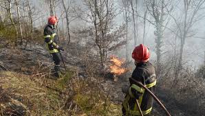 Dans la réalité, la réglementation interdit les feux et opérations de brûlage des déchets végétaux dans le jardin. L Interdiction De Brulage Des Dechets Verts Et De L Ecobuage Plus Que Jamais En Vigueur