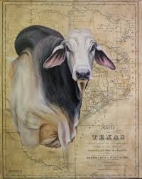 Brahman Bull Acrylic On Vintage Reproduced Map Cow Art Bull Painting Cow Pictures