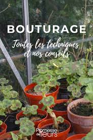 We did not find results for: Bouturage Les Differentes Techniques Et Nos Conseils Reussir Vos Boutures