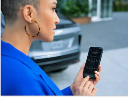 Cadillac Premium Pick Up and Delivery