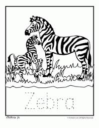 This free printable skunk coloring page is ideal for preschoolers, kindergartners, toddlers or even big kids. Zoo Animal Coloring Pages With Letter Writing Practice