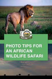 How To Photograph Wildlife On Safari In Africa Wildlife Photography Animal Photography Wildlife