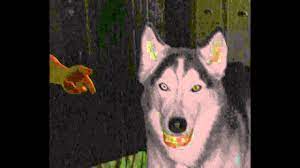 Smile Dog