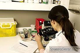 La malattia autoimmune o meglio le malattie autoimmuni, visto il numero abbastanza corposo, sono tutte quelle che, nonostante quadri clinici (insieme di sintomi e segni) molto eterogenei, sono accomunate da un errore del sistema immunitario (s i) che scatena una violenta reazione contro cellule, organi e tessuti del proprio corpo ritenendoli. Malattia Autoimmune Della Pelle Nei Gatti 2021