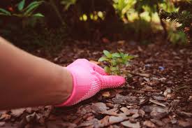 You can get next day delivery using this method. When S The Best Time To Mulch Your Yard Schlegel Barkdust