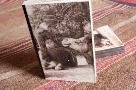 How to get a camel. Camel Dung Paper Camel Charisma