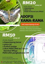 Rumah homestay di taman jati, batu berendam, melaka. Melaka Taman Rama Rama Dan Reptilia Melaka Facebook