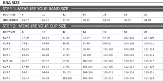 Everything You Need To Know About Bra Size Calculators