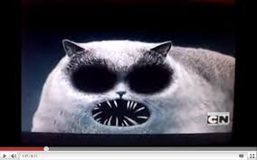 Flapjack adopts a rat he rescues from a flood and names it k'nuckles ii, but it ends up infecting everyone in stormalong with the. Flapjack Photo Scary Cat Scary Cat Cat Tattoo Scary