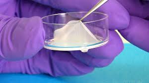 Maybe you would like to learn more about one of these? L Oreal Is Making Lab Produced Human Skin To Curb Animal Testing