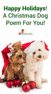 Happy Holidays A Christmas Dog Poem For You Dog Poems Christmas Dog Dog Blog