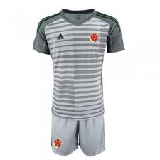 Camiseta selección colombia adidas original oficial fútbol. Camisetas Clubes Camiseta De Futbol Colombia Gris Portero 19 20