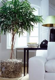 But the charm they add to the interior of their right care and placement can give quite an impressive look at the modern houses. 12 Beautiful Modern Ideas For Interior Decorating With Green Plants