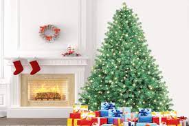 Costruire un eco_albero (348 clicks) etichetta: I 7 Migliori Alberi Di Natale Artificiali 2021 Offerte Online Opinioni Prezzi