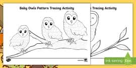 Barn owl coloring page to color, print or download. Owl Pictures To Colour In Primary Resources Teacher Made