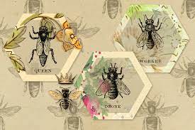 Download Vintage Honey Bee Digital Paper By Digital Curio Thehungryjpeg Com