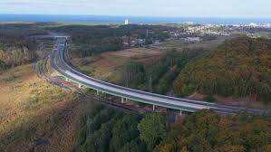 Image result for Holubia saccata