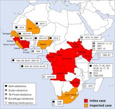 Marburg virus is one of 2 viruses belonging to the filovirus family. Marburgvirus An Overview Sciencedirect Topics