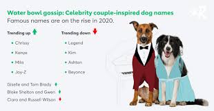100+ trendy names for your dog; Top 100 Most Popular Dog Names In 2020 Rover Com