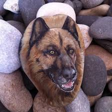 Wow 3d Realism In A Rock Painting Met Afbeeldingen Stenen Creatief