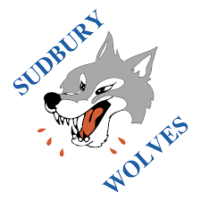 Gray wolf logo graphy, wolf logo, wolf logo, angle, company, monochrome png. Sudbury Wolves Logo Png Transparent Svg Vector Freebie Supply