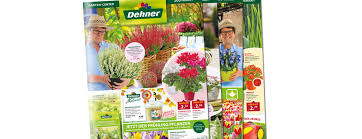 Angebote Dehner Unternehmendehner Unternehmen