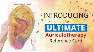 the ultimate auriculotherapy reference card acupuncture