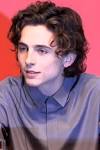 Actor Timothee Chalamet