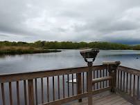 WERTHEIM NATIONAL WILDLIFE REFUGE HIKE