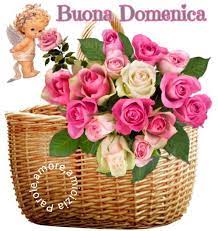 Pin Di Lidia Fontana Su Saluti Fiori Natura
