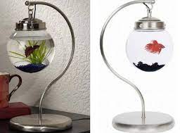 Model akuarium unik yang satu ini bisa mengubah tampilan ruangan dengan desain aquarium unik yang cocok untuk dekorasi rumah. Model Aquarium Unik Bunder Minimalis Desain Akuarium Aquarium Ikan Hiasan