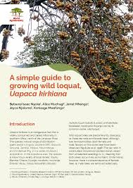 Image result for Phragmanthera cornetii