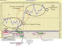 Katie J Gibson How To Chart Your Bbt