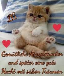 Kostenlose schonen abend und gute nacht bilder gute nacht bilder. Guten Abend Gute Nacht Gute Nacht Grusse Gute Nacht Katze