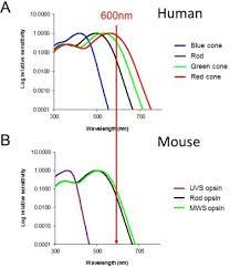 Light And The Laboratory Mouse Sciencedirect