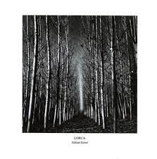 Profile for Adrian Ensor