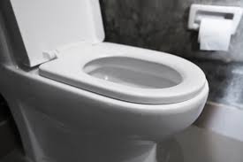 It is generally safe for browsing, so you may click any item to proceed to the site. Your Bathroom Habits 3 Things Your Plumber Always Knows Steve S Plumbing Blog