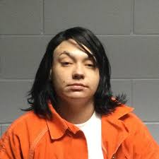 POLK COUNTY JAIL Booked During Period